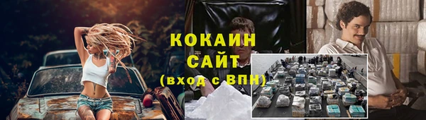 дживик Бронницы