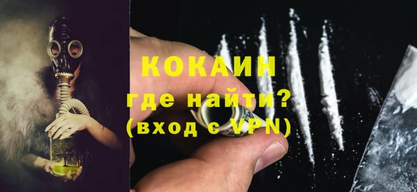 дживик Бронницы