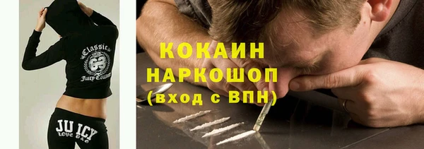 дживик Бронницы