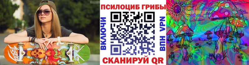 Псилоцибиновые грибы Psilocybine cubensis  Вилюйск 